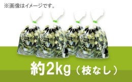 【ふるさと納税】【2024年10月中旬発送】丹波ふるさと村の丹波黒枝豆500g×4(枝なし)