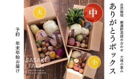 【ふるさと納税】〈自然栽培〉佐々木ファーム　旬の野菜詰め合わせ　〜ありがとうBOX 2024・中〜　やさい　直送　北海道　洞爺湖町