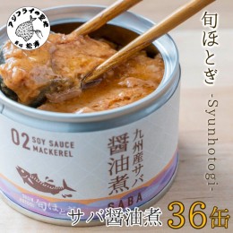 【ふるさと納税】【D4-006】缶詰工場直送　伝統のさば缶「旬ほとぎ」醤油煮36缶