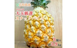 【ふるさと納税】石垣島産・スナックパイン、ずっしりの「大玉」3個入り SI-26-1