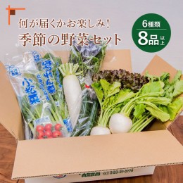 【ふるさと納税】北海道産季節の野菜詰め合わせ 6種類8品 【310005】