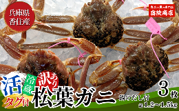 【ふるさと納税】【先行予約】【訳あり 活松葉ガニ 生 3枚（計約1.2〜1.5kg）冷蔵】令和7年2月以降配送予定 ※足が1〜2本折れたカニが混