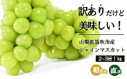 【ふるさと納税】ふるさと納税 ＜2024年 先行予約＞本場 山梨 訳あり 不揃い シャイン ぶどう 葡萄 シャインマスカット 2〜3房 約1kg 山