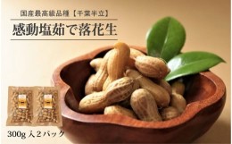 【ふるさと納税】先行予約 国産 塩茹で落花生 300 g × 2 パック 2024年9月下旬より順次発送