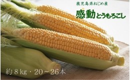 【ふるさと納税】感動とうもろこし ( 約8kg / 20〜26本 ) 数量限定 鹿児島産 ゴールドラッシュ ★2024年5月中旬以降発送★