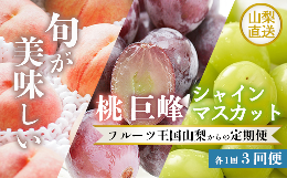 【ふるさと納税】ふるさと納税 ＜2024年 先行予約＞3回定期便 数量限定 山梨 桃 もも 巨峰 シャインマスカット シャイン 山梨県 笛吹市 