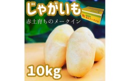 【ふるさと納税】【2Lサイズ】じゃがいも（赤土メークイン）10kg