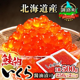 【ふるさと納税】いくら醤油漬け 500g（250g ×2パック ×1箱） 小分け　| 北海道産 国産 いくら いくら醤油漬 イクラ 天然 鮭 サーモン 