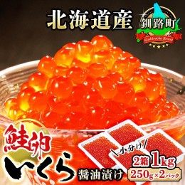 【ふるさと納税】いくら醤油漬け 1kg（250g ×2パック ×2箱） 小分け　| 北海道産 国産 いくら いくら醤油漬 イクラ 天然 鮭 サーモン 