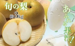 【ふるさと納税】厳選 旬の 梨 約 3kg | フルーツ 果物 くだもの なし ナシ 旬 熊本県 玉名市