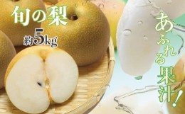 【ふるさと納税】厳選 旬の 梨 約 5kg | フルーツ 果物 くだもの 梨 なし ナシ 旬 梨 熊本県 玉名市 梨 ジューシー 梨 