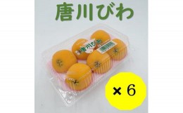 【ふるさと納税】びわ 唐川びわ 先行予約 6個入り×6パック【2024年5月下旬発送】|B124