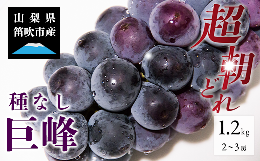 【ふるさと納税】ふるさと納税 ＜2024年 先行予約＞本場 山梨 巨峰 ぶどう 2〜3房 約1.2kg 山梨県 笛吹市 高評価 ※冷蔵発送(2024年8月中