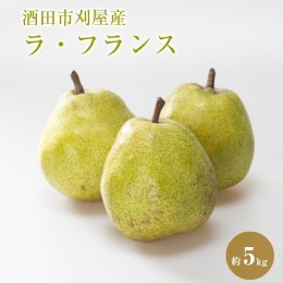 【ふるさと納税】SB0478　酒田の美味しいラ・フランス(洋梨) 秀品　約5kg(12〜18玉入)