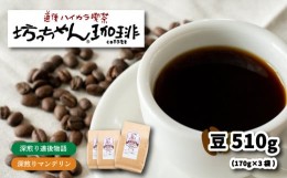 【ふるさと納税】コーヒー 豆 セット 510g ( 170g×3袋 ) 深煎り 自家焙煎 坊っちゃん珈琲 新鮮 愛媛県 松山市