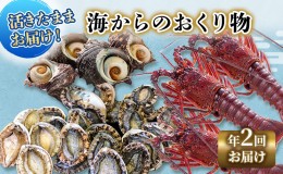 【ふるさと納税】伊勢海老 アワビ サザエ 定期便 年2回 海からのお届け物 伊勢エビ 3〜8匹 さざえ 4〜15個 あわび 3〜5枚 伊勢えび 海老 