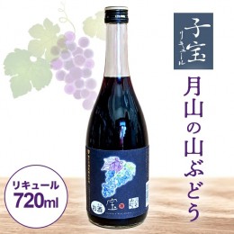 【ふるさと納税】SA1717　酒田の酒屋厳選　子宝リキュール　月山の山ぶどう　720ml×1本