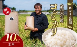 【ふるさと納税】はなまる農園令和6年新米香川県産「コシヒカリ（玄米）10kg」