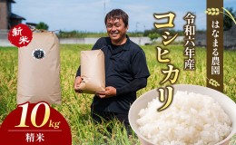 【ふるさと納税】はなまる農園令和6年新米香川県産「コシヒカリ（精米）10kg」白米