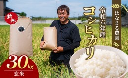 【ふるさと納税】はなまる農園令和6年新米香川県産「コシヒカリ（玄米）30kg」
