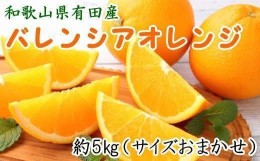 【ふるさと納税】和歌山県有田産バレンシアオレンジ約5kg（サイズおまかせ）★2024年６月下旬より順次発送予定【TM52】