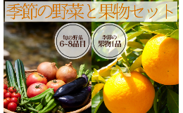 【ふるさと納税】湯の花　季節の野菜と果物セット　 柑橘  果物 野菜 静岡県産 南伊豆町  定期便 おまかせ 旬 みかん やさい　＜BC-82＞