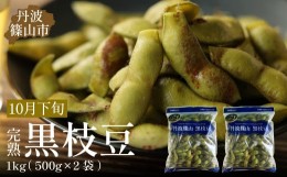 【ふるさと納税】【2024年10月下旬発送】完熟丹波黒枝豆500g×2(枝なし)