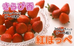 【ふるさと納税】【2025年1月中旬より順次発送】いちご 食べ比べ セット （きらぴ香 ・ 紅ほっぺ   260g×各1パック） 合計 2パック【配