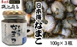 【ふるさと納税】なまこ 味付き 3本 セット 珍味 日本海 おつまみセット おつまみ ごはんのお供 ご飯のお供 加工食品 海産物 ナマコ 海鮮