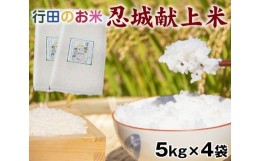 【ふるさと納税】No.075 行田のお米　忍城献上米20kg［むかさ商店］ ／ 精米 白米 埼玉県