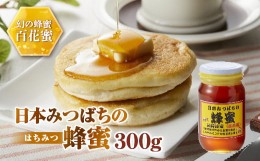 【ふるさと納税】日本みつばちの蜂蜜300g ミツバチ 蜜蜂 希少 幻 パンケーキ 紅茶 スイーツ 花 まろやか 純国産 F21K-042