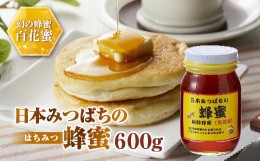 【ふるさと納税】日本みつばちの蜂蜜600g ミツバチ 蜜蜂 希少 幻 パンケーキ 紅茶 スイーツ 花 まろやか 純国産 F21K-043