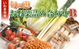 【ふるさと納税】いわき市産　旬の恵お野菜詰め合わせB