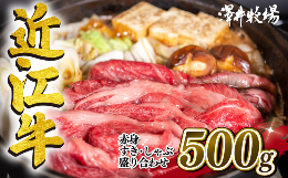 【ふるさと納税】近江牛 特選 すきしゃぶ用 500g 赤身（ モモ カタ ） 冷凍 【 黒毛和牛 すき焼き しゃぶしゃぶ 用 牛肉 肉 ギフト 自宅