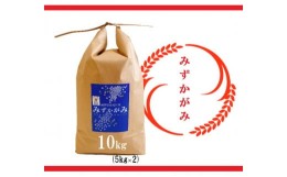 【ふるさと納税】【令和5年産 特別栽培 近江米『みずかがみ』10kg(5kg×2)】米 近江米 みずかがみ ブランド米 滋賀県 竜王