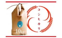 【ふるさと納税】【令和5年産 特別栽培 近江米 『コシヒカリ』10kg(5kg×2)】米 近江米 こしひかり 滋賀県 竜王