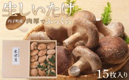 【ふるさと納税】内子町産 生しいたけ 15枚入【しいたけ きのこ 生椎茸 シイタケ キノコ 茸 椎茸 美味しい 椎茸 なましいたけ シイタケ 