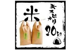 【ふるさと納税】【令和5年産 特別栽培 近江米 『キヌヒカリ』20kg(5kg×4)】米 近江米 キヌヒカリ ブランド米 滋賀県 竜王