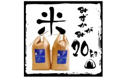 【ふるさと納税】【令和5年産 特別栽培 近江米 『みずかがみ』20kg(5kg×4)】米 近江米 みずかがみ ブランド米 滋賀県 竜王