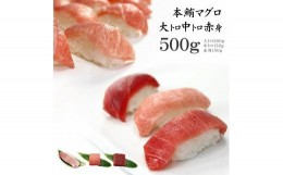 【ふるさと納税】本マグロ大トロ中トロ赤身セット500g　解凍レシピ付　1サクずつ真空包装