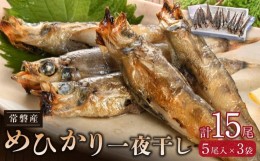 【ふるさと納税】常磐産めひかり一夜干し　15尾