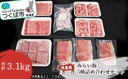 【ふるさと納税】みらい豚詰め合わせセット＜ロース・もも肉切落し・挽肉・粗挽きホワイトウインナー・オリジナル生ハム＞【 豚肉 豚 ぶ