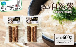 【ふるさと納税】満点自然薯　約300g真空パック(2袋)【 とろろ じねんじょ 山芋 茨城県 つくば市 】