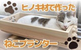 【ふるさと納税】 ねこ 桧 プランター 木製プランター 猫 プランター 小物入れ セット 寄せ植え 室内 屋内 室内用 猫のベッド 木製 プラ