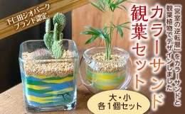 観葉植物 カラー サンドの通販｜au PAY マーケット