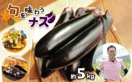 【ふるさと納税】野菜 ナス 旬を味わうナス 約5kg