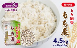 【ふるさと納税】【ふるさと納税】【定期便】 栃木県産もち絹香 もち麦 (450g×10袋) 3回定期 (4ヶ月毎) 真岡市 栃木県