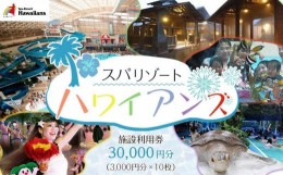 【ふるさと納税】スパリゾートハワイアンズ　施設利用券30,000円分（3,000円分×10枚）