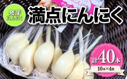 【ふるさと納税】満点にんにく (発芽にんにく)  60〜70g(10本)×4袋 F21K-250