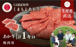 【ふるさと納税】生産者直送!GI認証　くまもとあか牛焼き肉用1kg(500g×2パック)